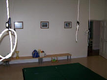 swing3.jpg